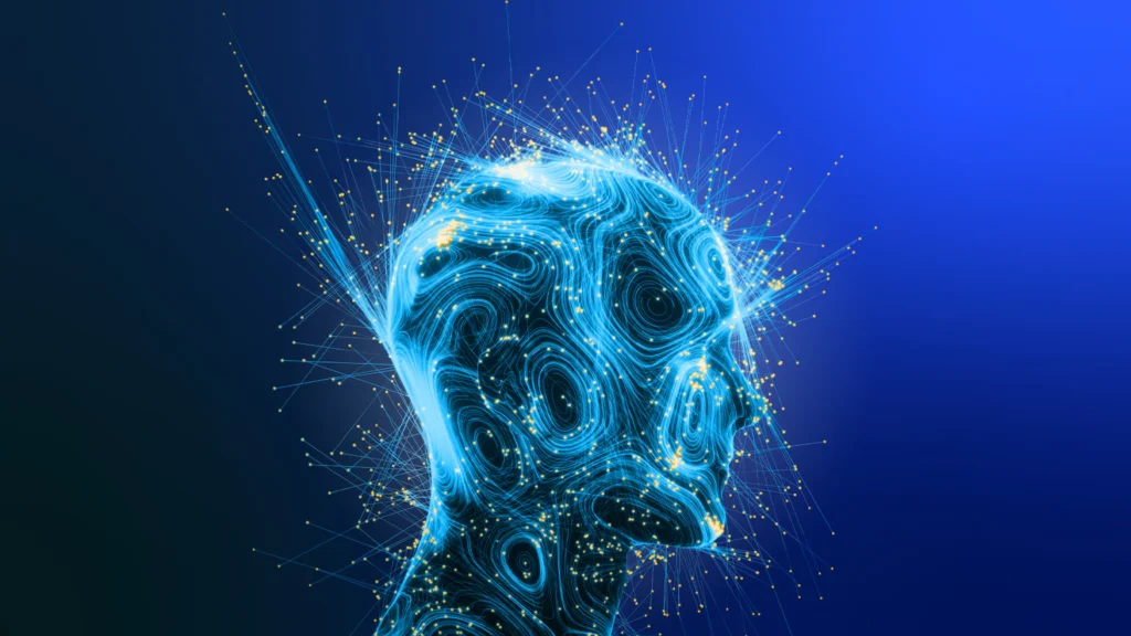 contact designmode24 com and its role in shaping reliable digital services